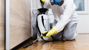 Best Real Estate Pest Inspections  in Memphis, MI